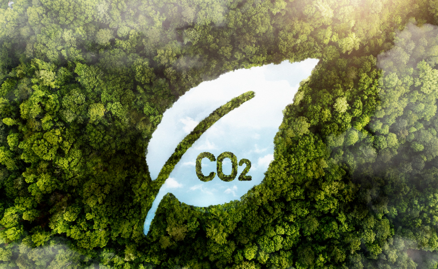 Strategies for Managing Carbon Emission in Supplier Chains