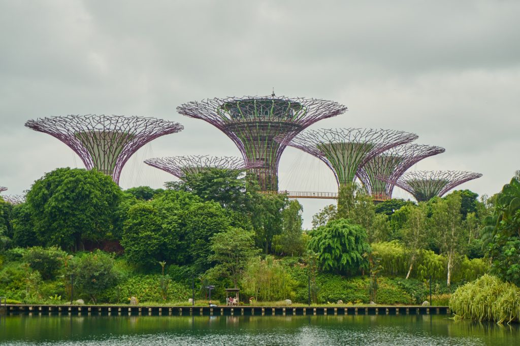 What Singapore Is Doing for ESG