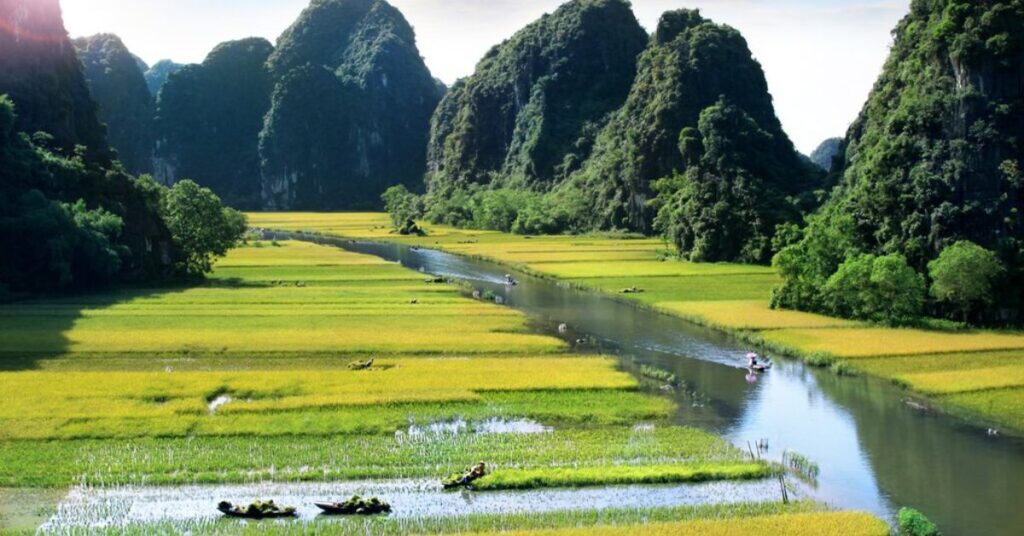languages spoken in vietnam