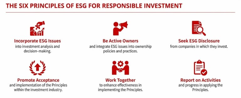 ESG: A Comprehensive Guide to the Main Principles [2026]