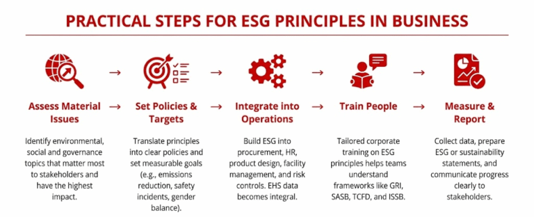 ESG: A Comprehensive Guide to the Main Principles [2026]