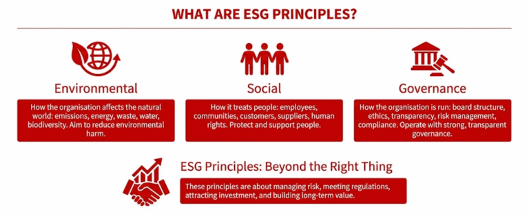 ESG: A Comprehensive Guide to the Main Principles [2026]