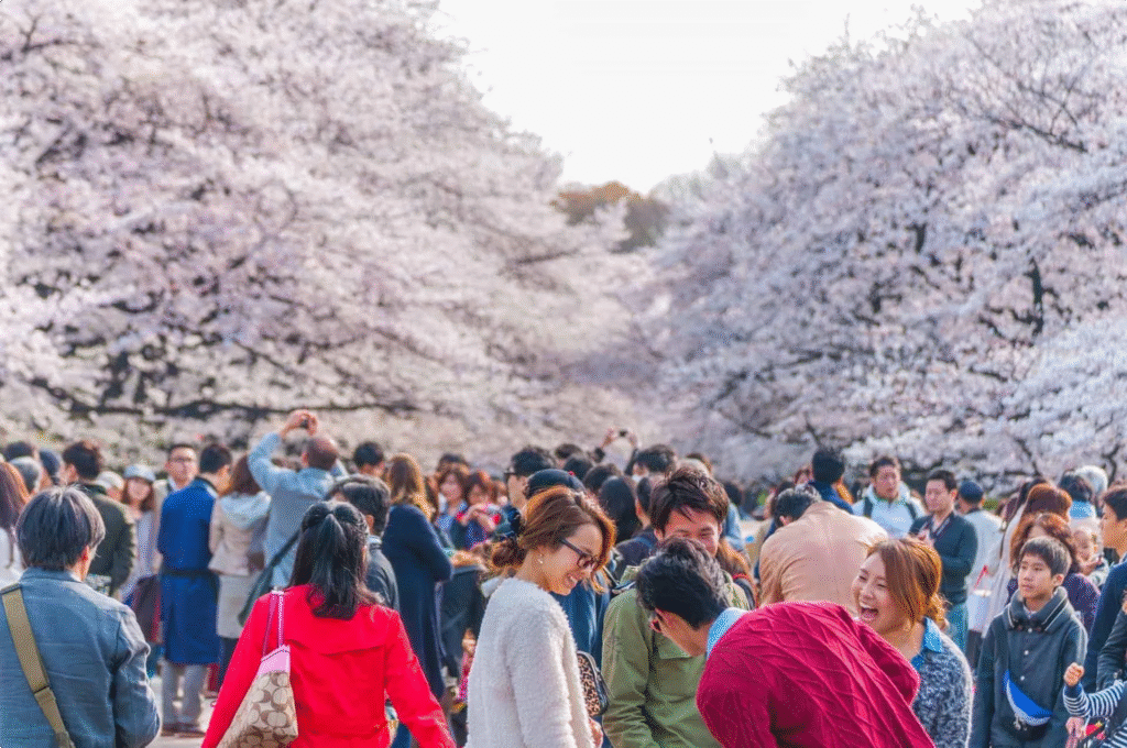 50 Most Unique and Beautiful Cultures Around the World in 2026