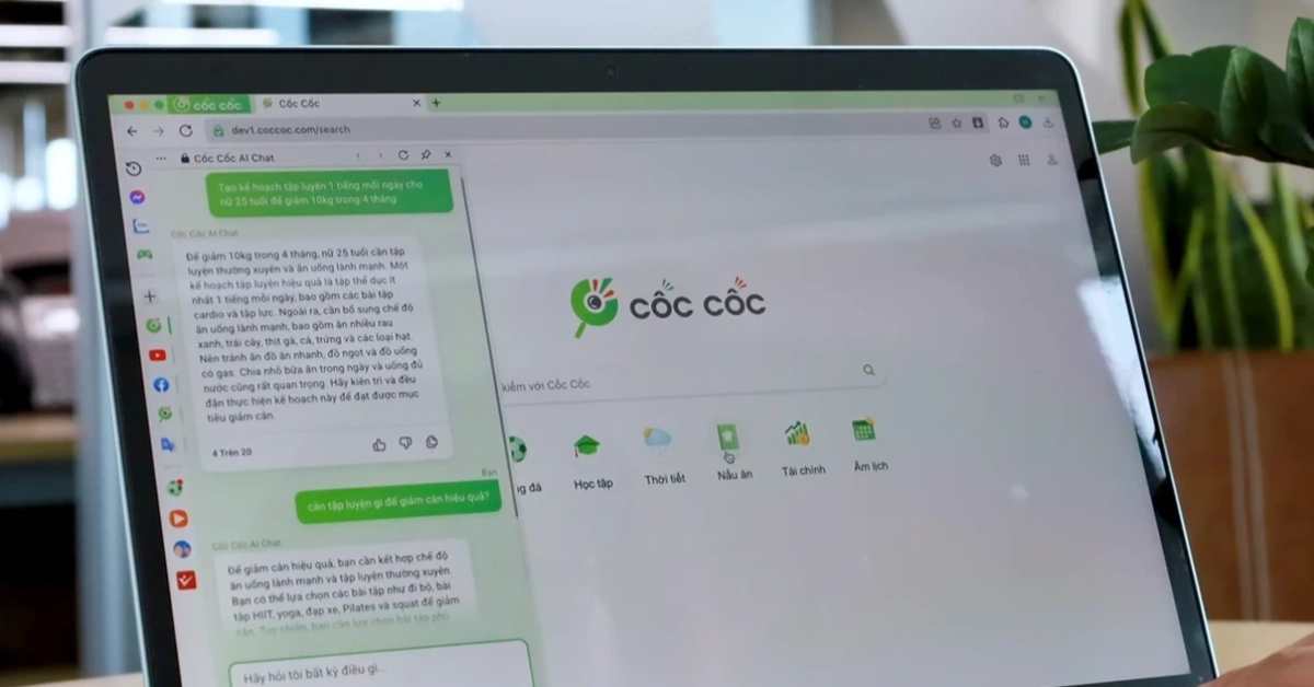 Cốc Cốc and Zalo Search: Vietnam's Hidden SEO Channels for B2B